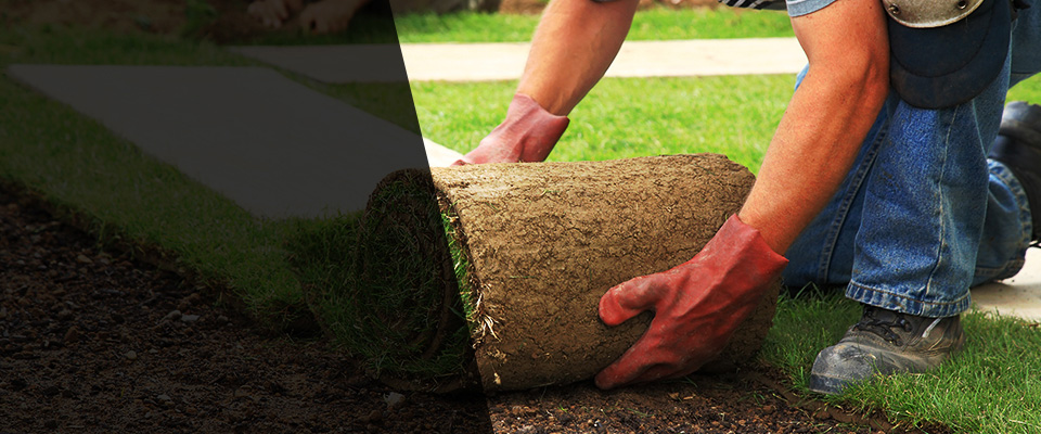 Port Reading Landscapers